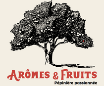 Arômes et Fruits